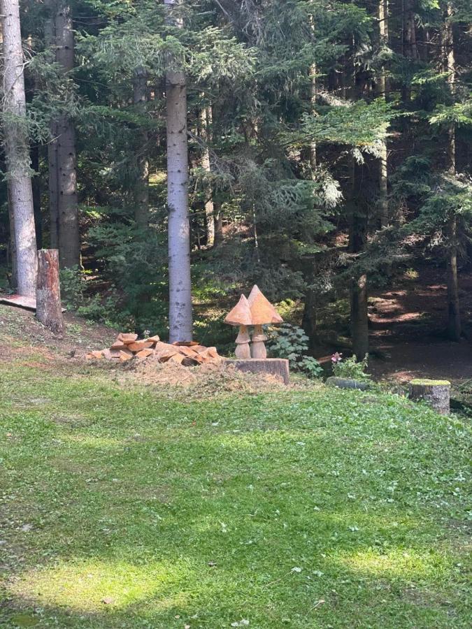 Lodge Turzov