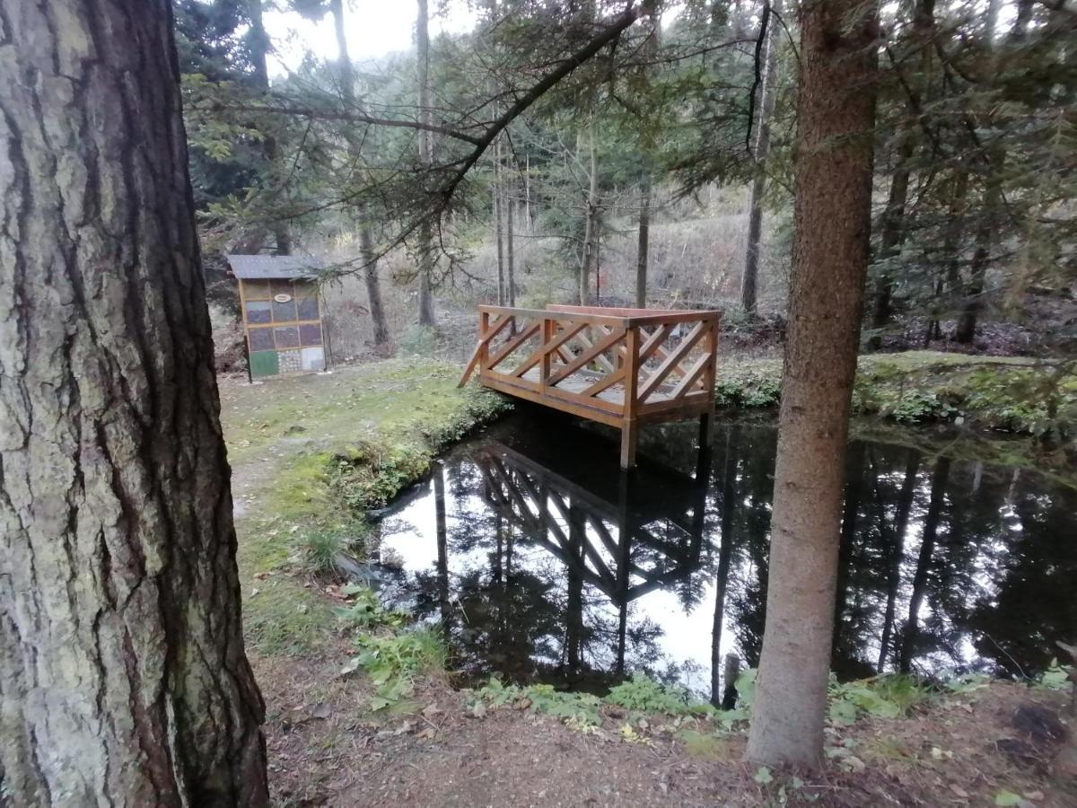 Turzov Lodge